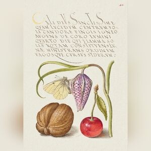 Botanical Art Print with Cherry and Walnut